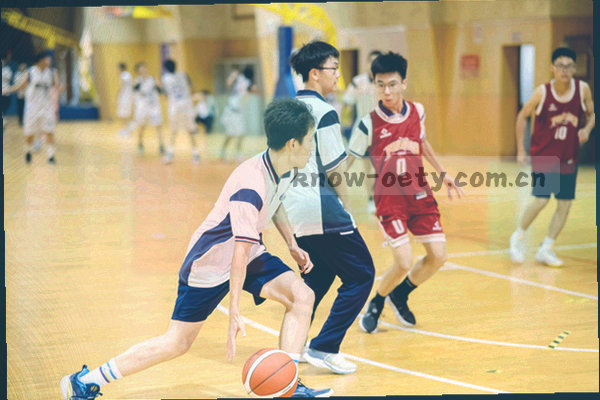 欧亿体育服务介绍板块的功能分区示意图